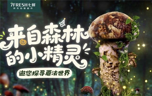 元富投资 “蘑”法山珍平价尝鲜！ 京东七鲜香格里拉松茸99元开抢
